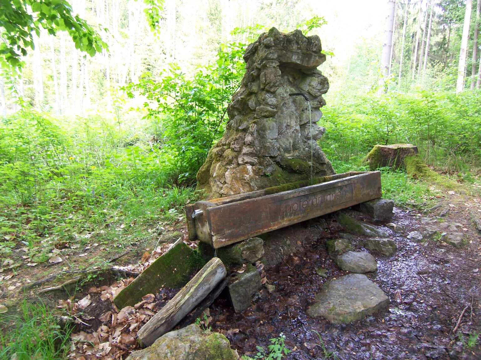 Mehr über den Artikel erfahren Wanderschuhe an und ab zum Kupferbrunnen
